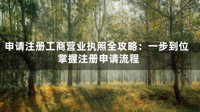 申请注册工商营业执照全攻略：一步到位掌握注册申请流程