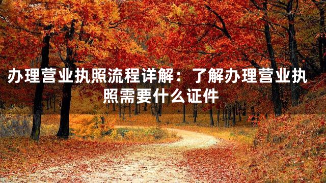 办理营业执照流程详解：了解办理营业执照需要什么证件