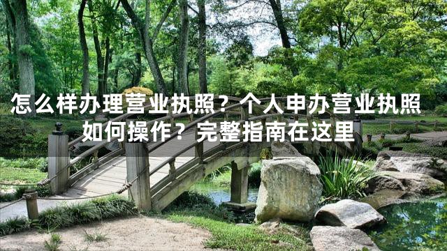 怎么样办理营业执照？个人申办营业执照如何操作？完整指南在这里