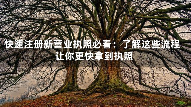 快速注册新营业执照必看：了解这些流程让你更快拿到执照