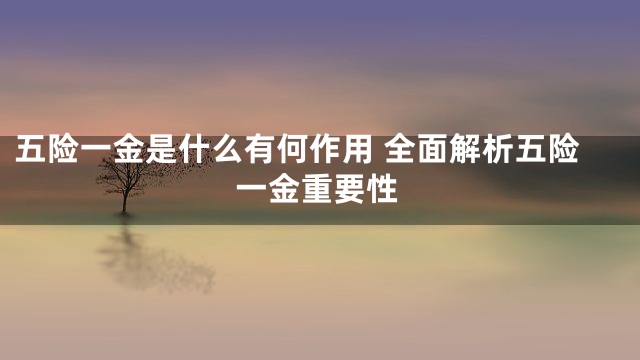 五险一金是什么有何作用 全面解析五险一金重要性