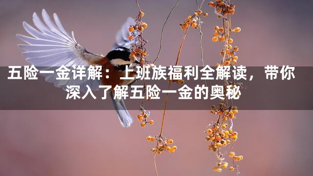 五险一金详解：上班族福利全解读，带你深入了解五险一金的奥秘