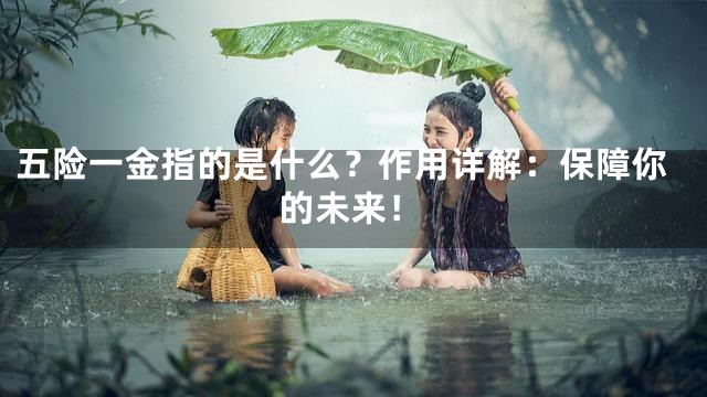 五险一金指的是什么？作用详解：保障你的未来！