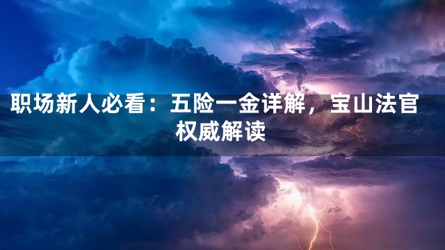 职场新人必看：五险一金详解，宝山法官权威解读
