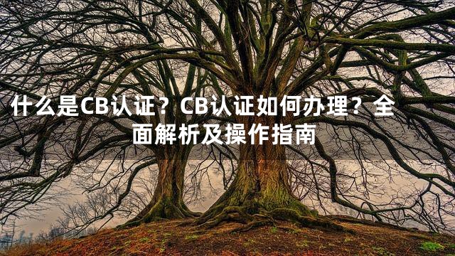 什么是CB认证？CB认证如何办理？全面解析及操作指南