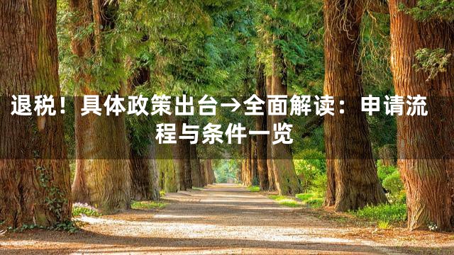退税！具体政策出台→全面解读：申请流程与条件一览