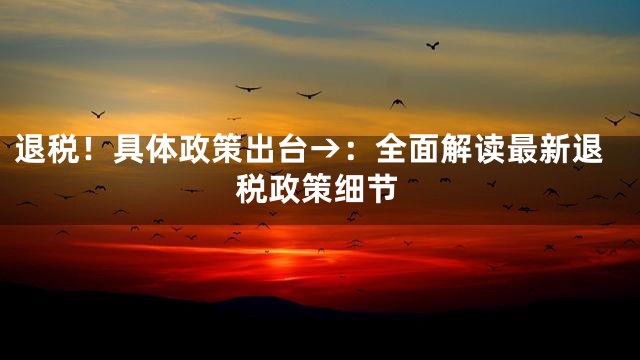 退税！具体政策出台→：全面解读最新退税政策细节