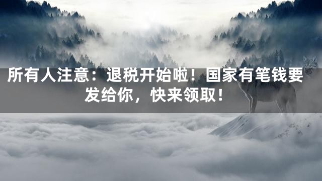 所有人注意：退税开始啦！国家有笔钱要发给你，快来领取！