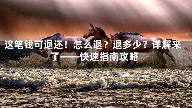 这笔钱可退还！怎么退？退多少？详解来了——快速指南攻略