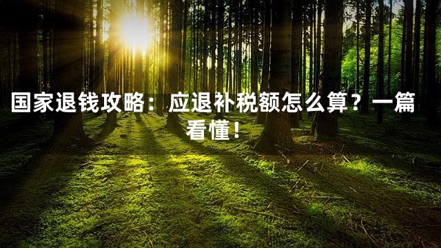 国家退钱攻略：应退补税额怎么算？一篇看懂！