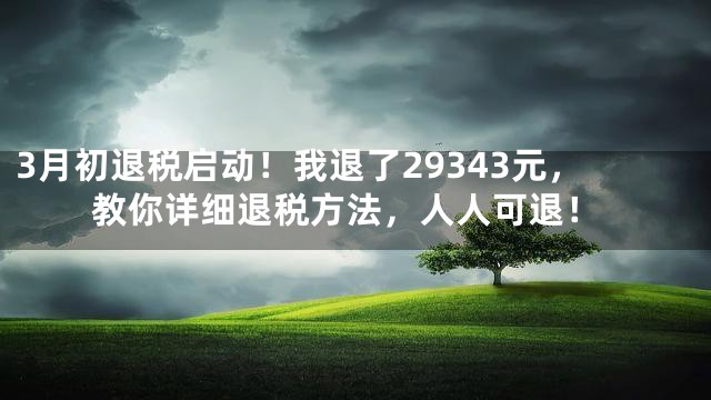 3月初退税启动！我退了29343元，教你详细退税方法，人人可退！