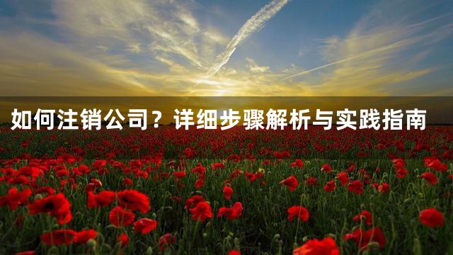 如何注销公司？详细步骤解析与实践指南