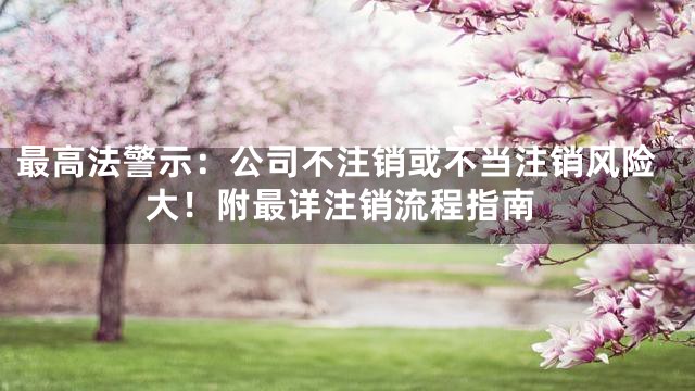 最高法警示：公司不注销或不当注销风险大！附最详注销流程指南