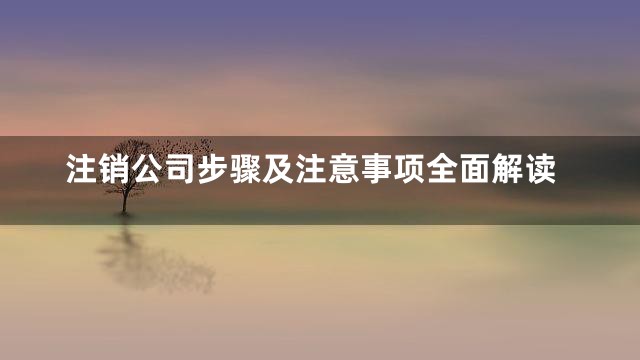 注销公司步骤及注意事项全面解读
