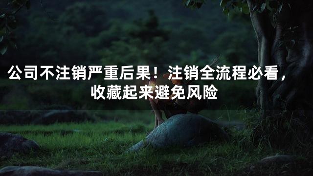 公司不注销严重后果！注销全流程必看，收藏起来避免风险