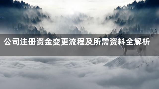 公司注册资金变更流程及所需资料全解析