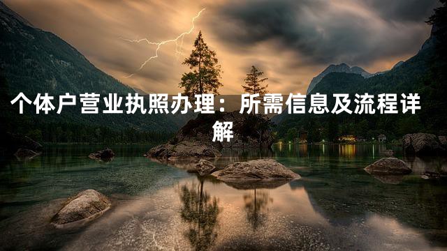 个体户营业执照办理：所需信息及流程详解