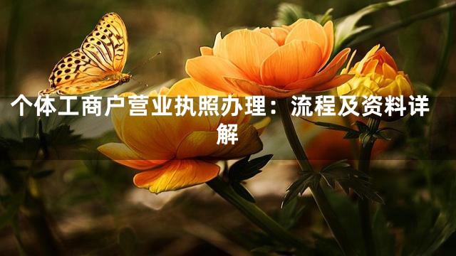 个体工商户营业执照办理：流程及资料详解