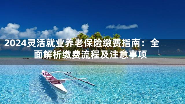 2024灵活就业养老保险缴费指南：全面解析缴费流程及注意事项