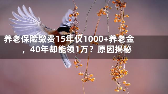 养老保险缴费15年仅1000+养老金，40年却能领1万？原因揭秘
