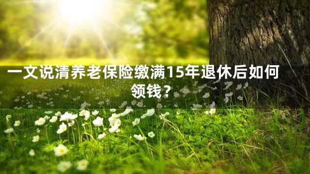 一文说清养老保险缴满15年退休后如何领钱？