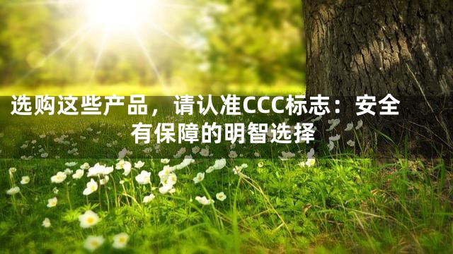 选购这些产品，请认准CCC标志：安全有保障的明智选择