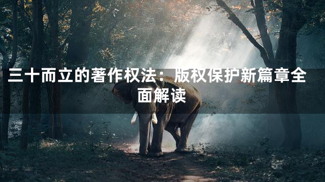 三十而立的著作权法：版权保护新篇章全面解读