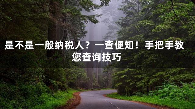 是不是一般纳税人？一查便知！手把手教您查询技巧