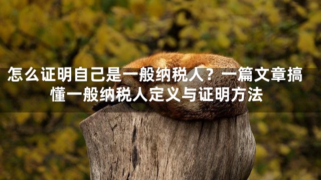 怎么证明自己是一般纳税人？一篇文章搞懂一般纳税人定义与证明方法