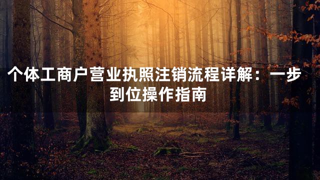 个体工商户营业执照注销流程详解：一步到位操作指南