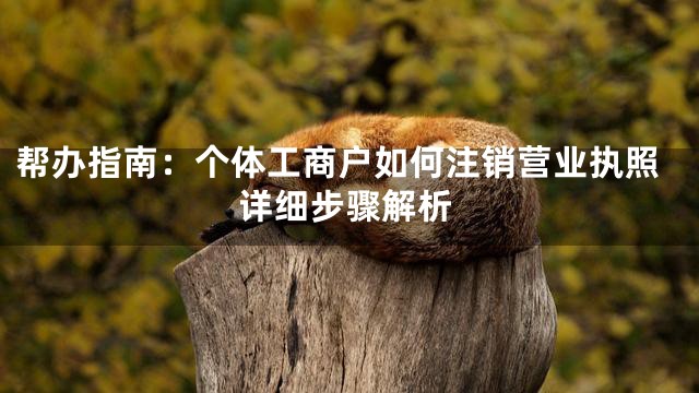 帮办指南：个体工商户如何注销营业执照详细步骤解析