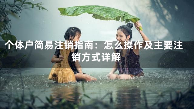 个体户简易注销指南：怎么操作及主要注销方式详解