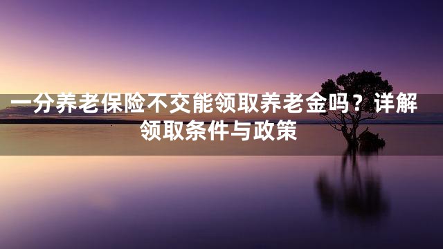 一分养老保险不交能领取养老金吗？详解领取条件与政策