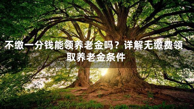 不缴一分钱能领养老金吗？详解无缴费领取养老金条件