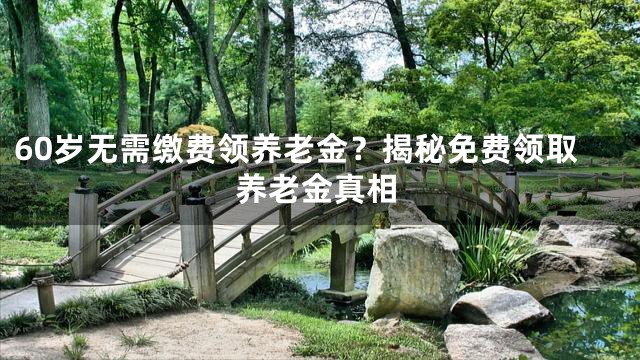 60岁无需缴费领养老金？揭秘免费领取养老金真相