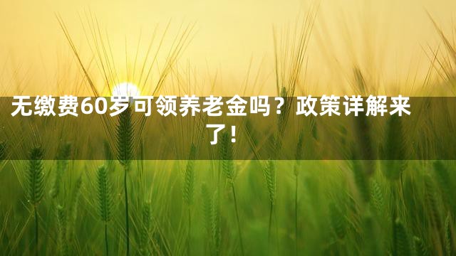 无缴费60岁可领养老金吗？政策详解来了！