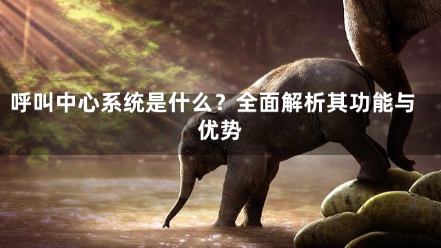 呼叫中心系统是什么？全面解析其功能与优势