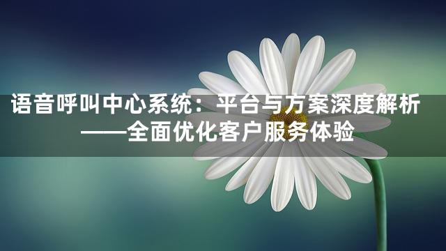语音呼叫中心系统：平台与方案深度解析——全面优化客户服务体验