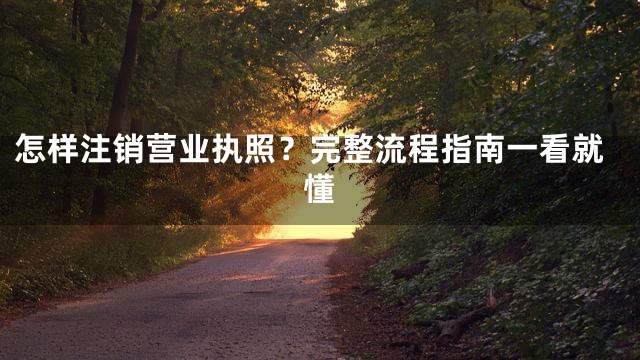 怎样注销营业执照？完整流程指南一看就懂