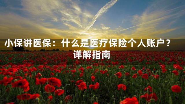 小保讲医保：什么是医疗保险个人账户？详解指南