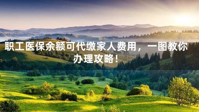 职工医保余额可代缴家人费用，一图教你办理攻略！