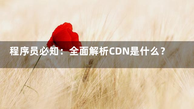 程序员必知：全面解析CDN是什么？