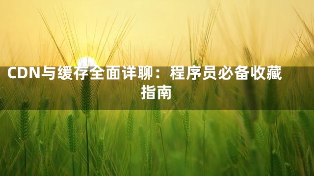 CDN与缓存全面详聊：程序员必备收藏指南