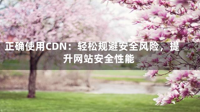 正确使用CDN：轻松规避安全风险，提升网站安全性能