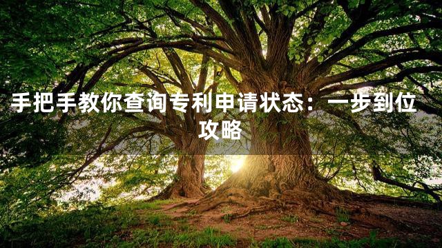 手把手教你查询专利申请状态：一步到位攻略