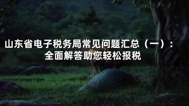 山东省电子税务局常见问题汇总（一）：全面解答助您轻松报税