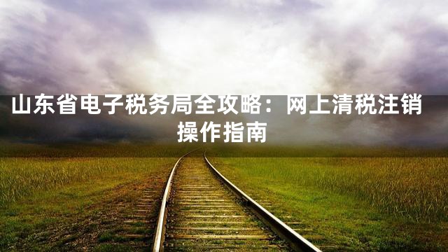 山东省电子税务局全攻略：网上清税注销操作指南