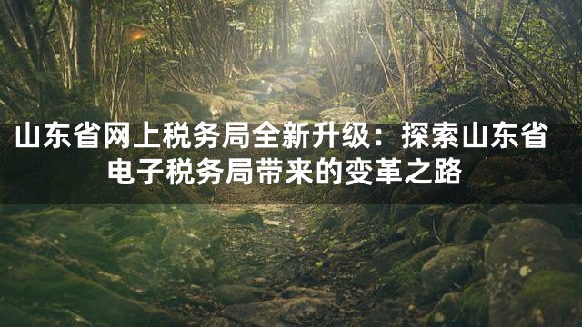 山东省网上税务局全新升级：探索山东省电子税务局带来的变革之路