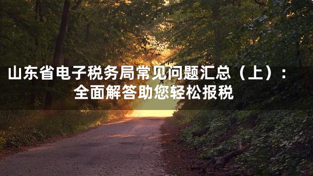 山东省电子税务局常见问题汇总（上）：全面解答助您轻松报税