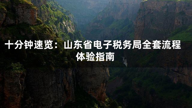 十分钟速览：山东省电子税务局全套流程体验指南